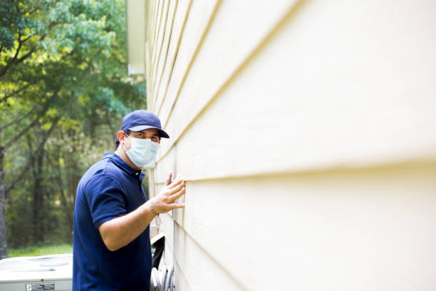 Best Insulated Siding Installation  in Lakefield, MN